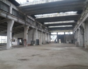 Hala 1700mp + birouri,  platforma betonata TIR, pod rulant 16to zona Baciu