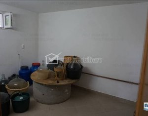 Maison 3 chambres à vendre dans Cluj-napoca, zone Faget