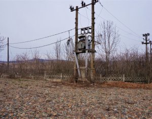 Terrain à vendre dans Gilau