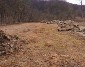 Terrain à vendre dans Gilau