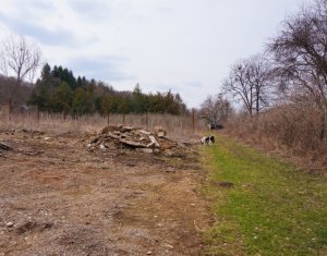 Terrain à vendre dans Gilau