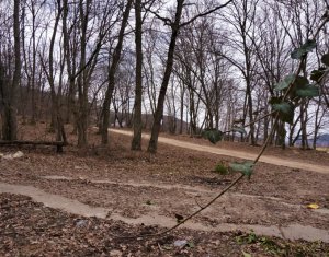 Terrain à vendre dans Gilau