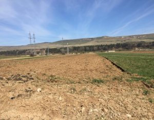 , 5800m2 on Floresti