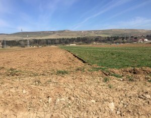 Terrain à vendre dans Floresti