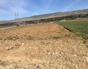 Terrain à vendre dans Floresti