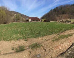 Terrain à vendre dans Tauti