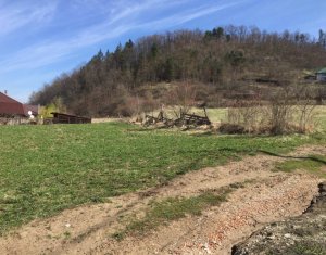 Terrain à vendre dans Tauti