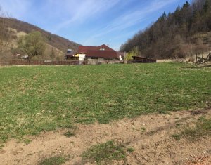 Terrain à vendre dans Tauti