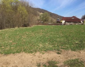 Terrain à vendre dans Tauti