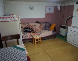 Maison 4 chambres à vendre dans Cluj-napoca, zone Dambul Rotund