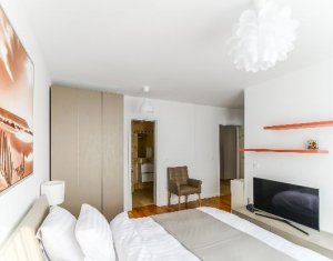 Appartement 1 chambres à louer dans Cluj-napoca, zone Intre Lacuri