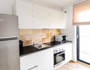 Appartement 1 chambres à louer dans Cluj-napoca, zone Intre Lacuri