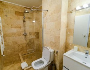 Appartement 1 chambres à louer dans Cluj-napoca, zone Intre Lacuri