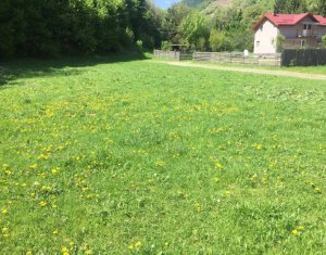 Telek eladó on Somesu Rece