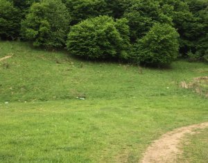 , 1100m2 on Floresti