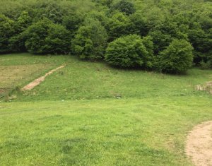 Terrain à vendre dans Floresti
