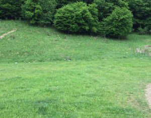 Terrain à vendre dans Floresti
