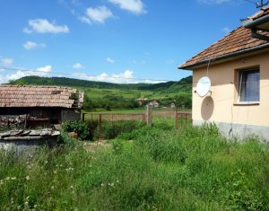 Ház 1 szobák eladó on Sanpaul