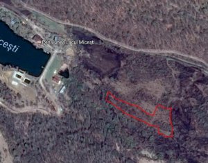 , 7000m2 dans Micesti