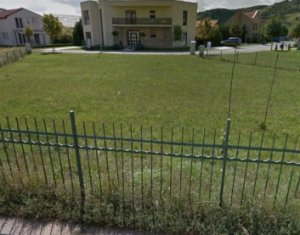 Terrain à vendre dans Floresti