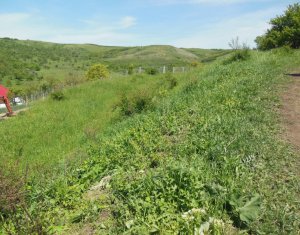 , 5500m2 dans Cojocna, zone Centru