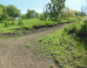 Terrain à vendre dans Cojocna, zone Centru