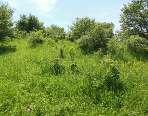 Terrain à vendre dans Cojocna, zone Centru