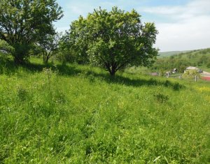 Terrain à vendre dans Cojocna, zone Centru