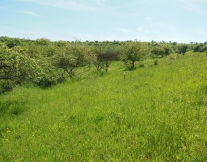 Terrain à vendre dans Cojocna, zone Centru