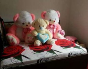 Maison 4 chambres à vendre dans Floresti