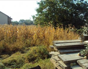 Maison 3 chambres à louer dans Cluj-napoca, zone Someseni
