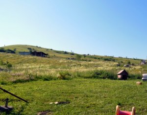 Terrain à vendre dans Sannicoara