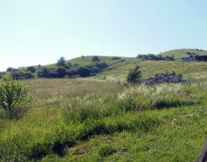 Terrain à vendre dans Sannicoara