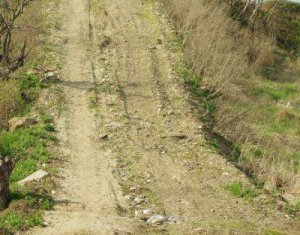 Terrain à vendre dans Cluj-napoca, zone Iris