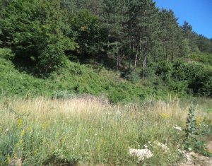 Terrain à vendre dans Floresti