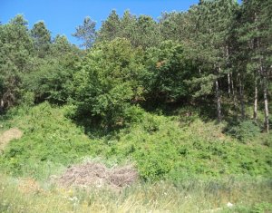 Terrain à vendre dans Floresti