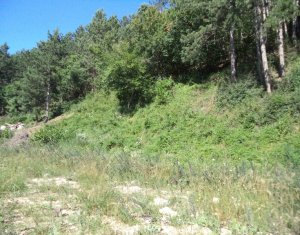 Terrain à vendre dans Floresti