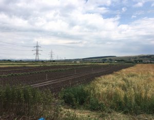 Terrain à vendre dans Cluj-napoca, zone Apahida