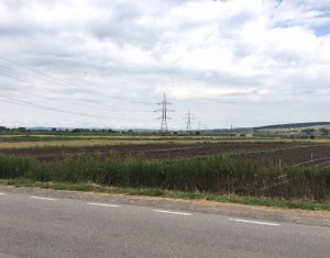 Terrain à vendre dans Cluj-napoca, zone Apahida