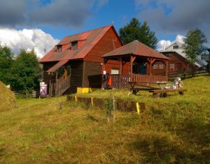 Nyaralók eladó on Baisoara