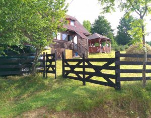 Nyaralók eladó on Baisoara