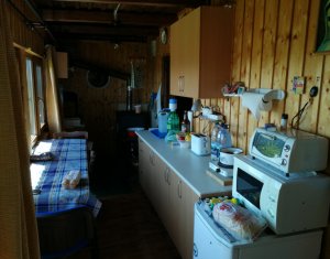 Nyaralók eladó on Baisoara