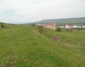 Telek eladó on Floresti