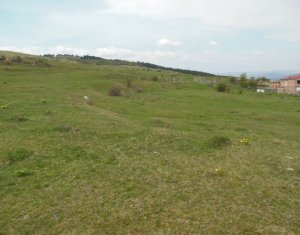 Telek eladó on Floresti