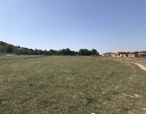 Telek eladó on Floresti