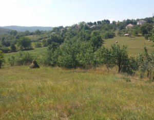 Telek eladó on Feleacu