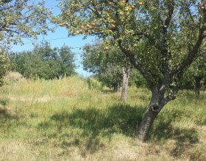 Telek eladó on Feleacu