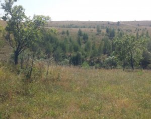 Telek eladó on Feleacu