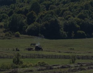 Telek eladó on Tauti