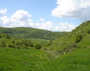 Telek eladó on Tauti